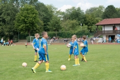 2018-07-07-Kleinfeldturnier-Schöllnach15