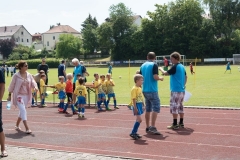 2018-07-07-Kleinfeldturnier-Schöllnach30