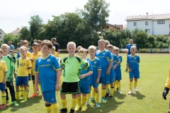 2018-07-07-Kleinfeldturnier-Schöllnach33