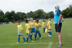 2018-07-07-Kleinfeldturnier-Schöllnach4