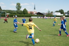 2018-07-07-Kleinfeldturnier-Schöllnach59