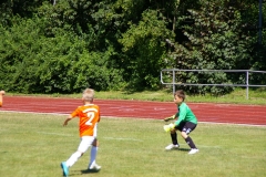 2019-06-30-Kleinfeldturnier-Schöllnach24