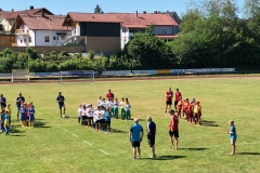 2019-06-30-Kleinfeldturnier-Schöllnach4-e1563182860230