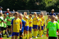 2019-06-30-Kleinfeldturnier-Schöllnach44