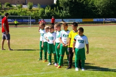 2019-06-30-Kleinfeldturnier-Schöllnach46
