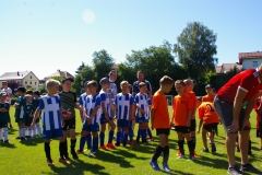 2019-06-30-Kleinfeldturnier-Schöllnach49