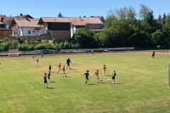 2019-06-30-Kleinfeldturnier-Schöllnach8-e1563183139891