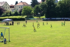 2019-06-30-Kleinfeldturnier-Schöllnach9-e1563183156187